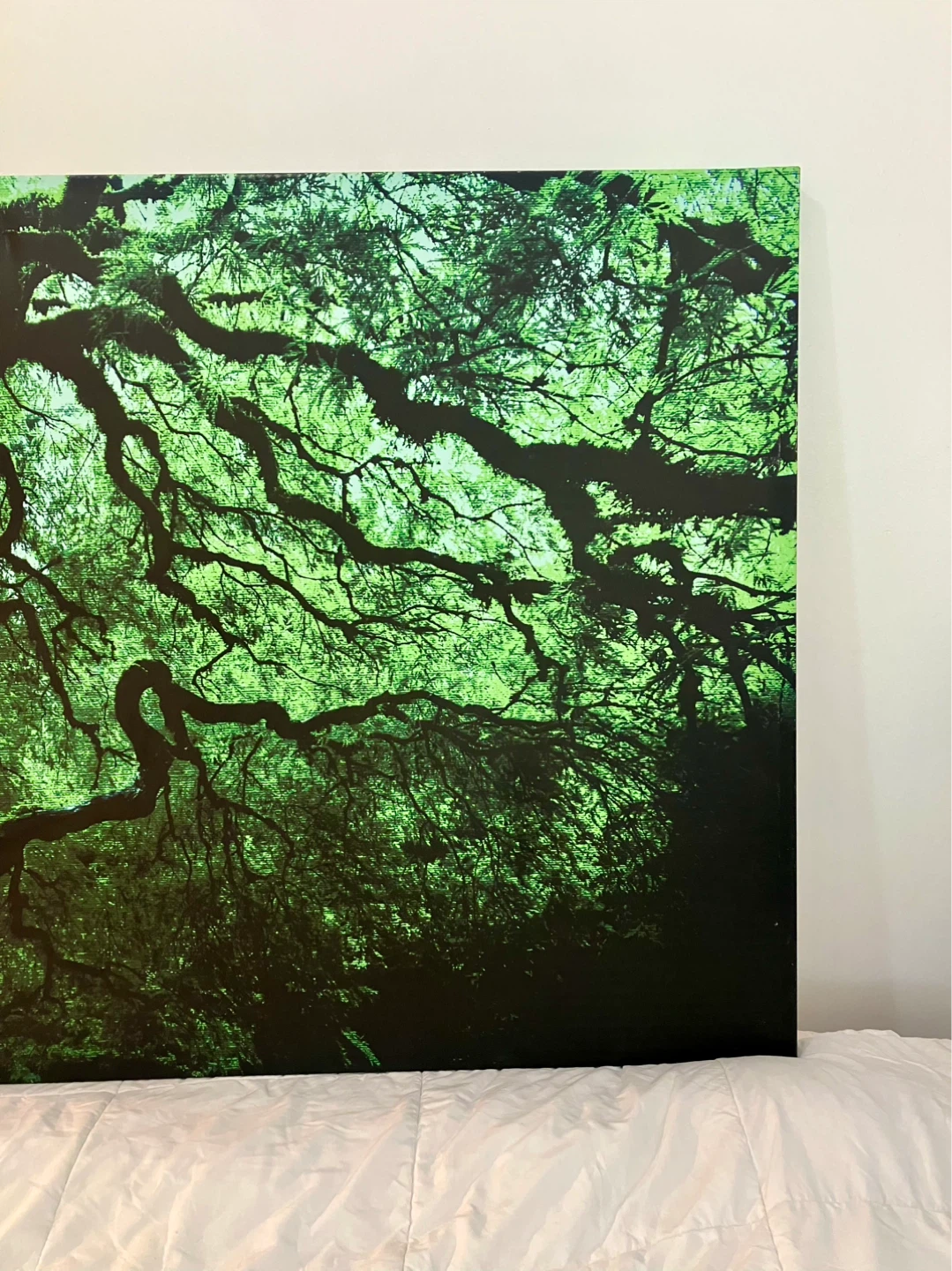 Japanese Dark Tree Gallery Wrapped Canvas - 36 x 48 - photo 5