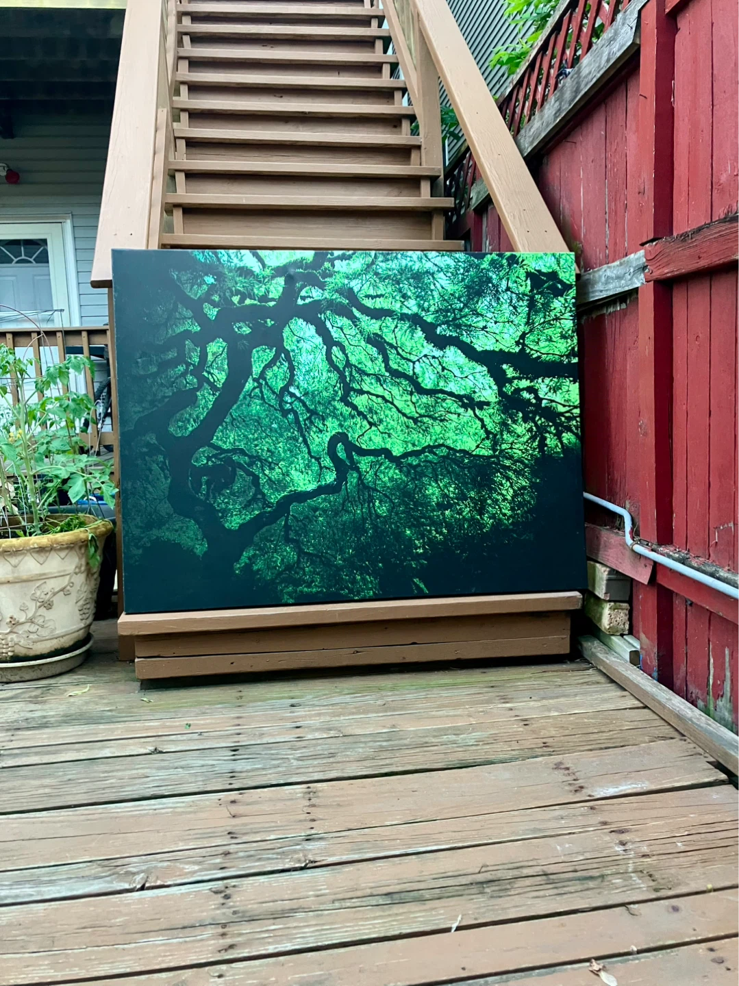 Japanese Dark Tree Gallery Wrapped Canvas - 36 x 48 - photo 3
