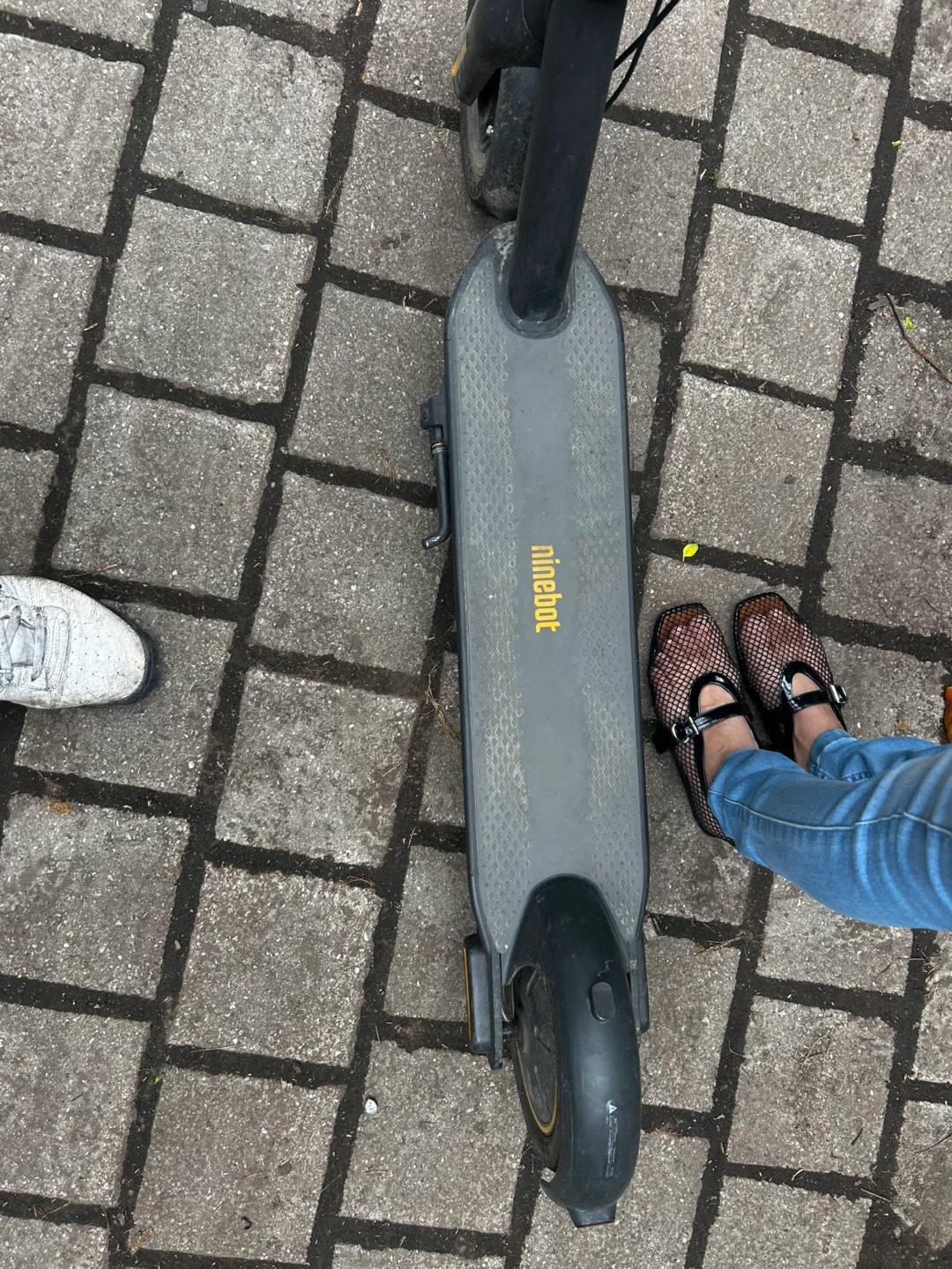 Ninebot kick scooter MAX - photo 2