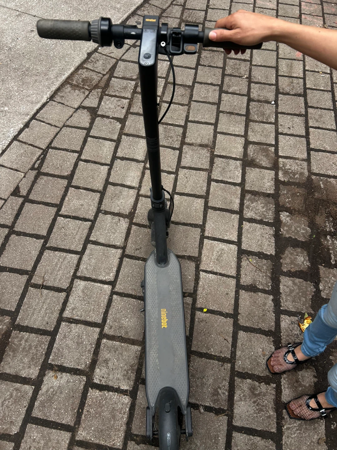 Ninebot kick scooter MAX - photo 5