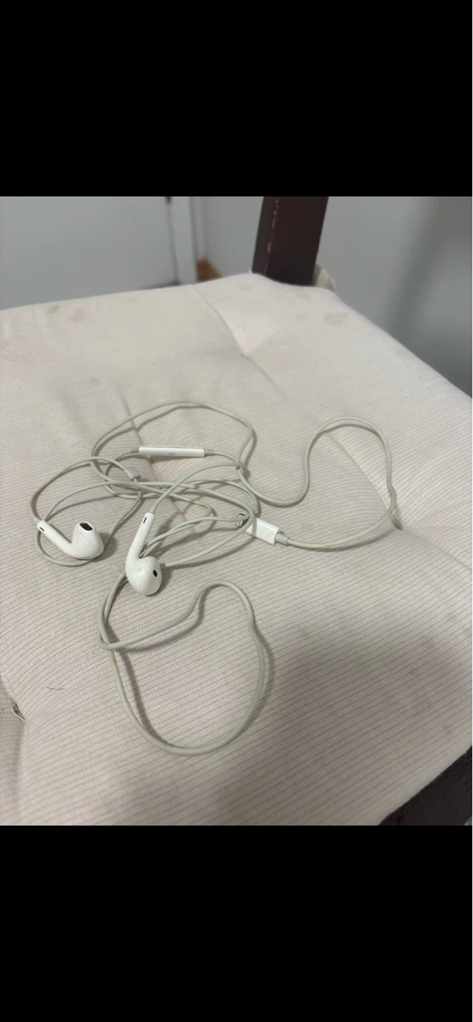 Apple EarPods (Wired)
