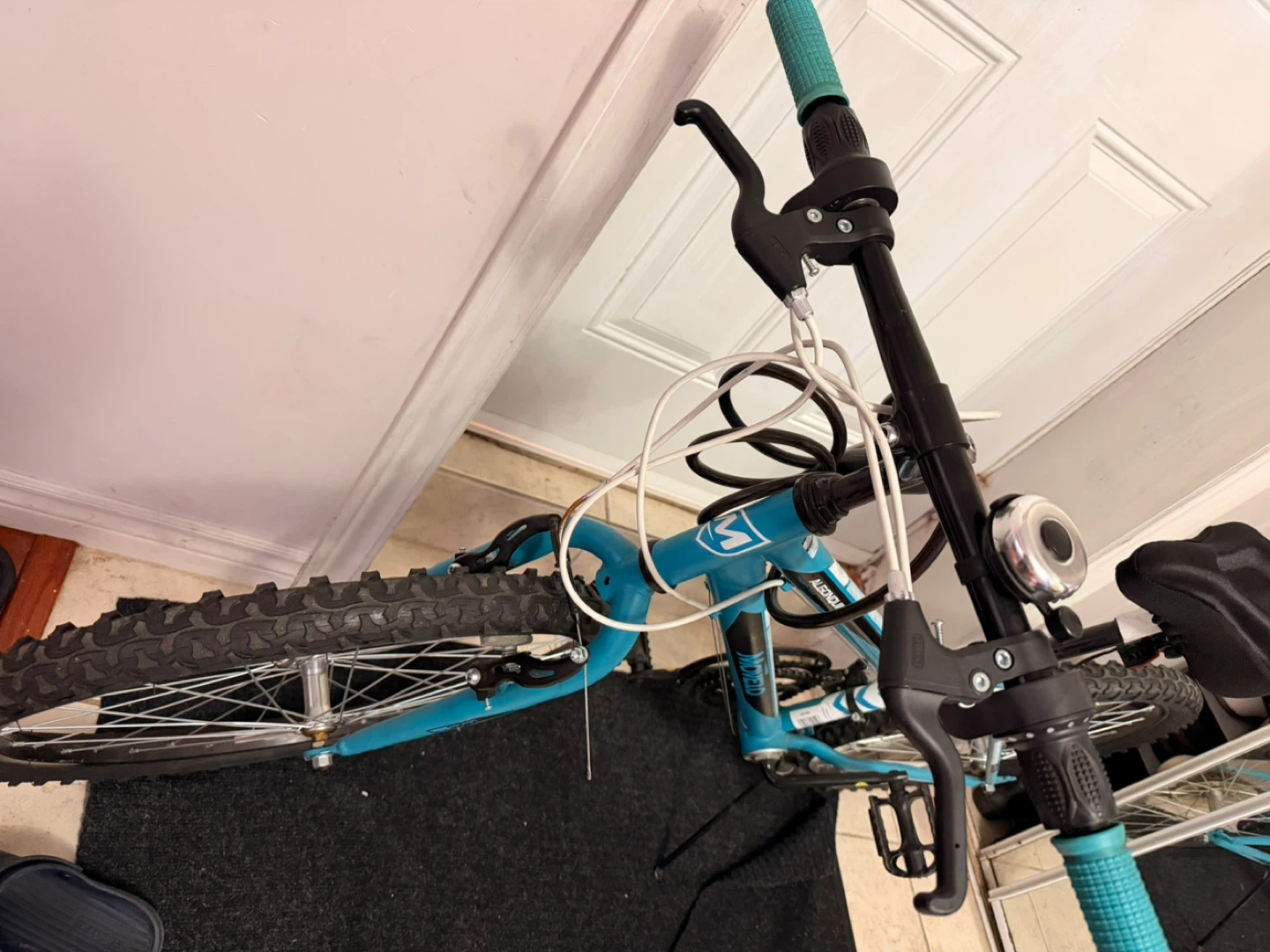 Adult Bike
