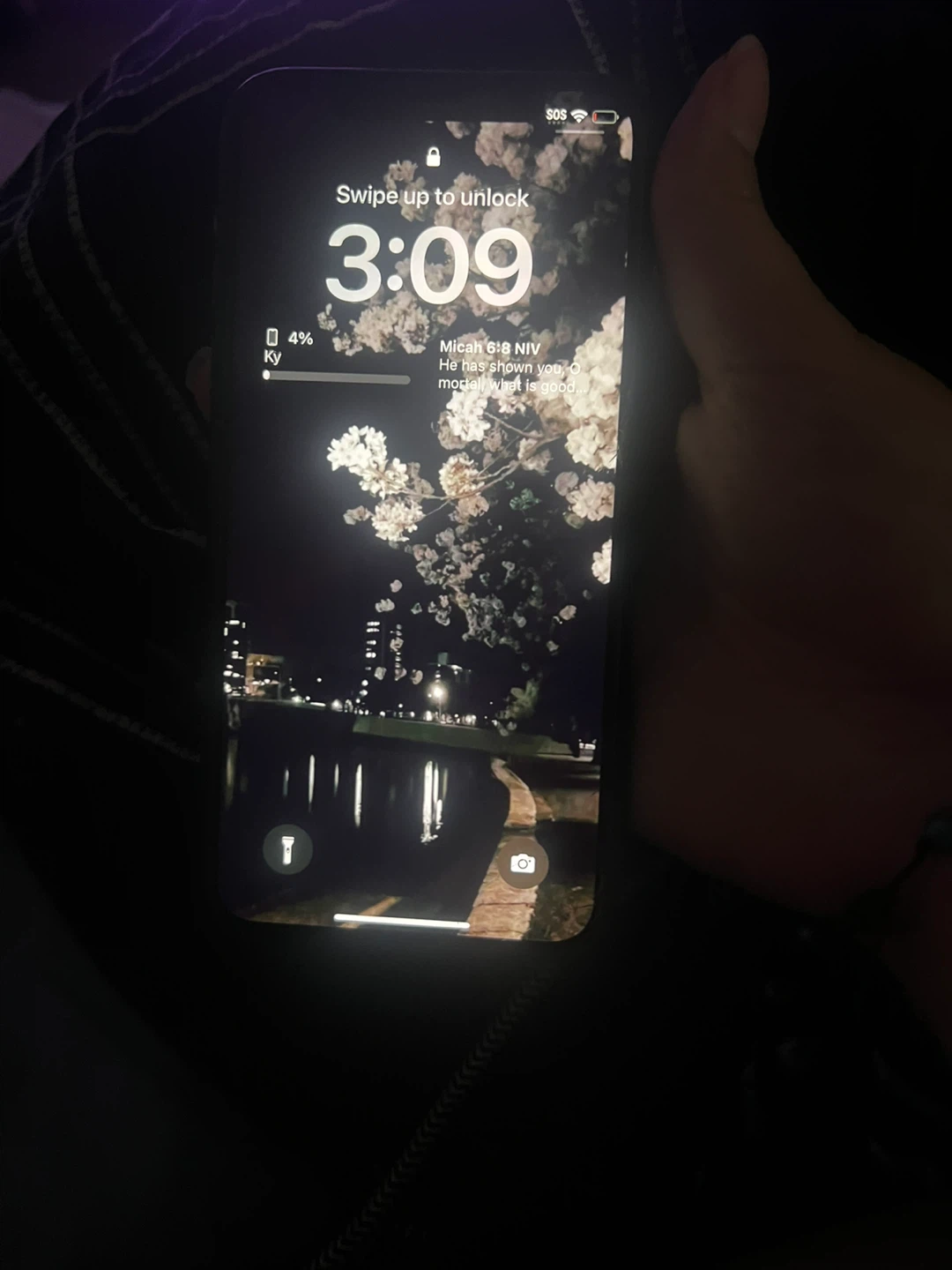 iPhone X - photo 2