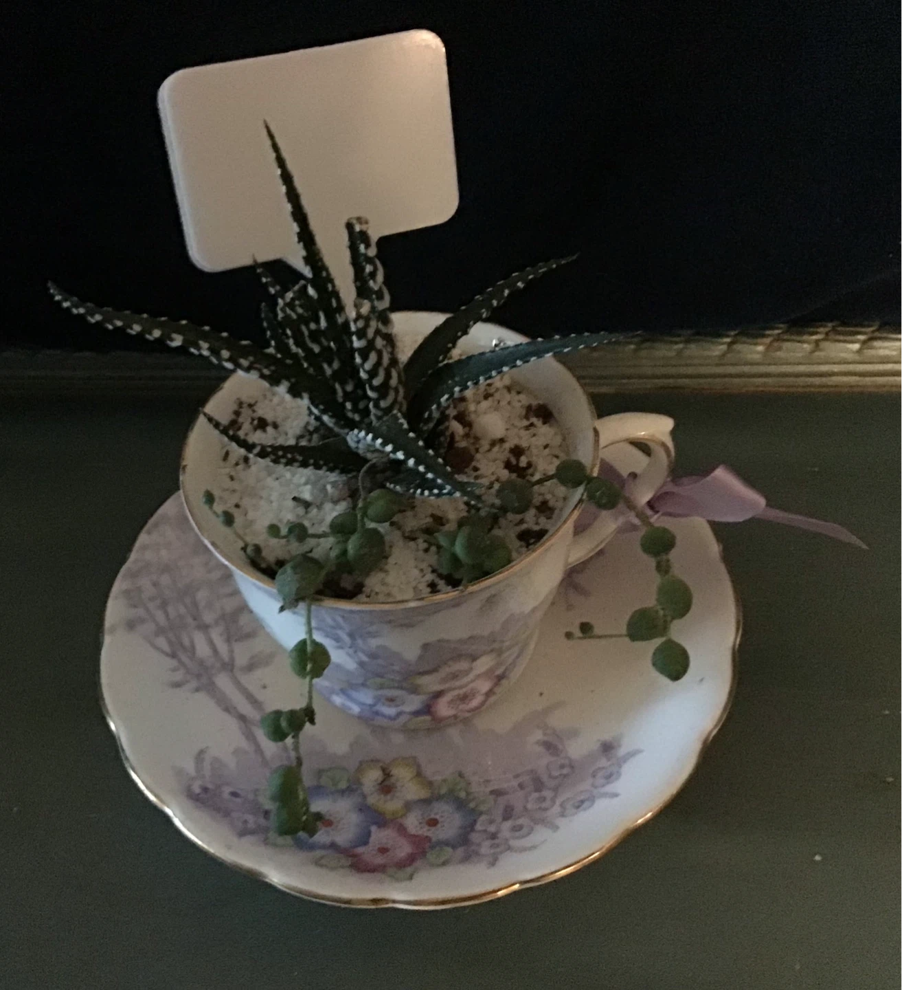 Fathers Day, Teachers Gifts of Succulent Plant - photo 3