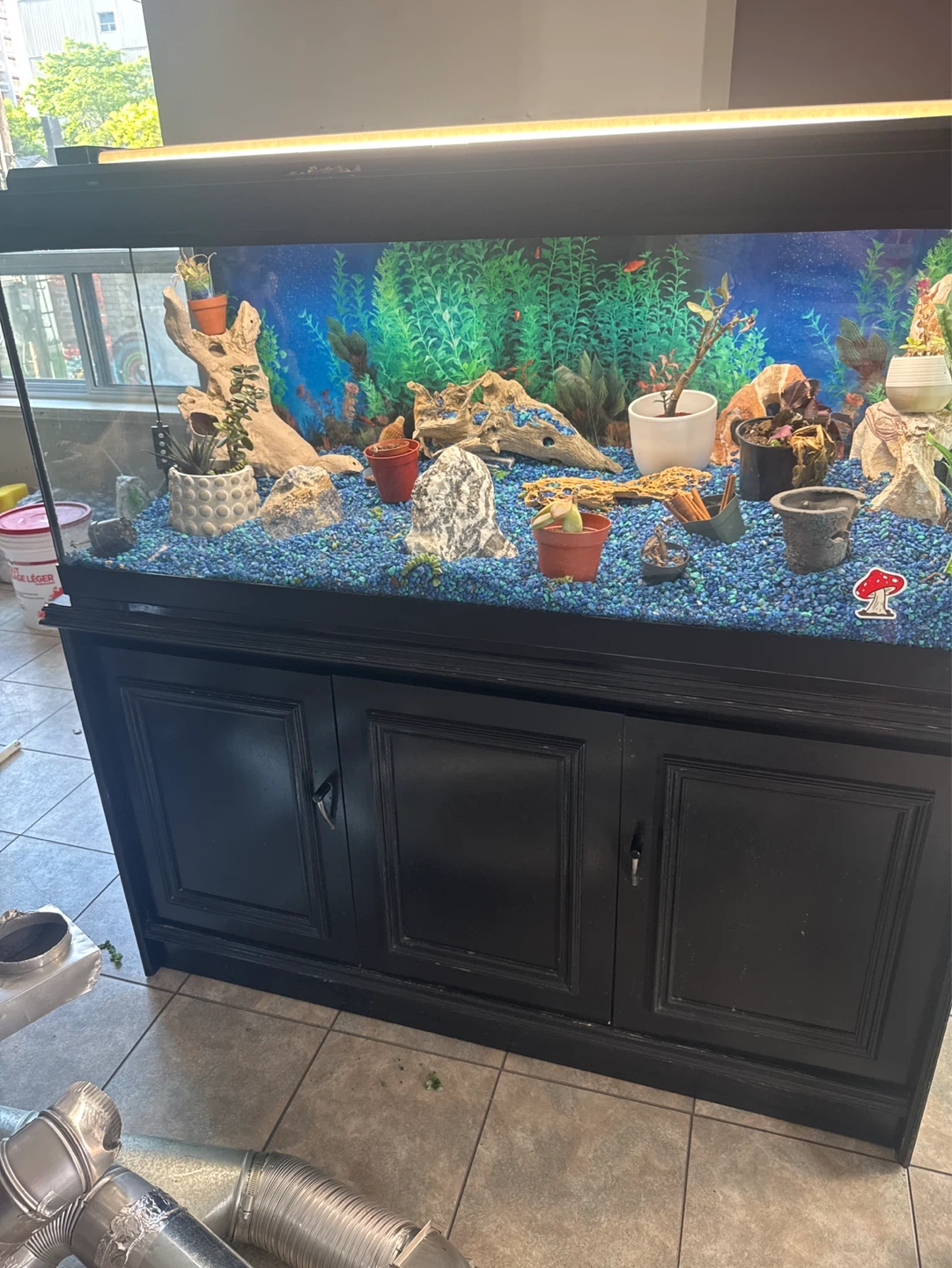 Large Aquarium with Cabinet Stand