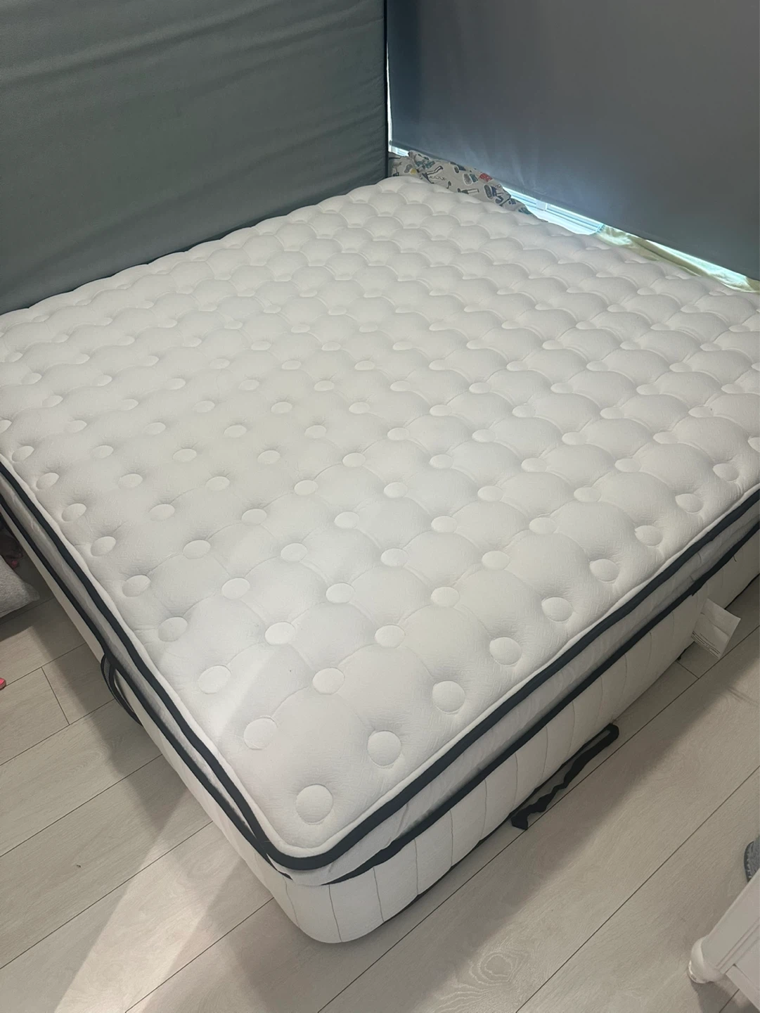 Sealy Mattress