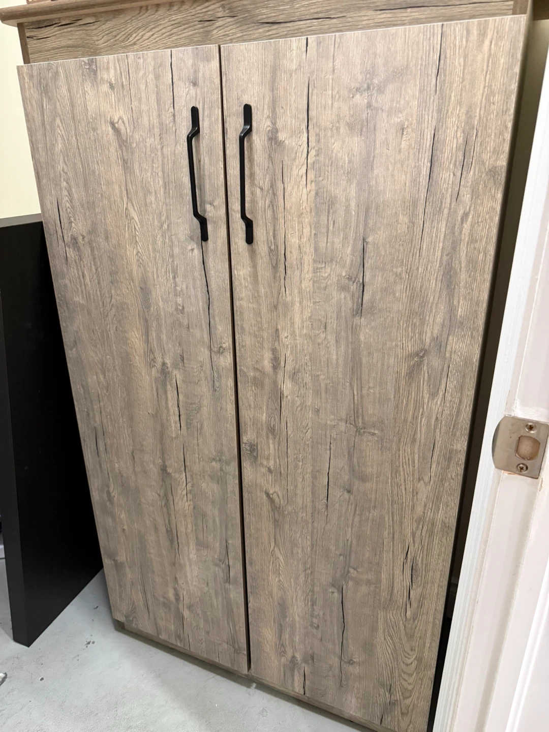 Two-door storage cabinet