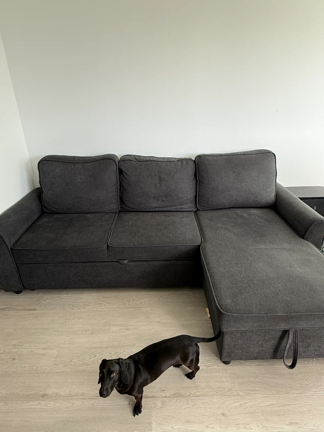 Sofa Alex, looking brand new - photo 2