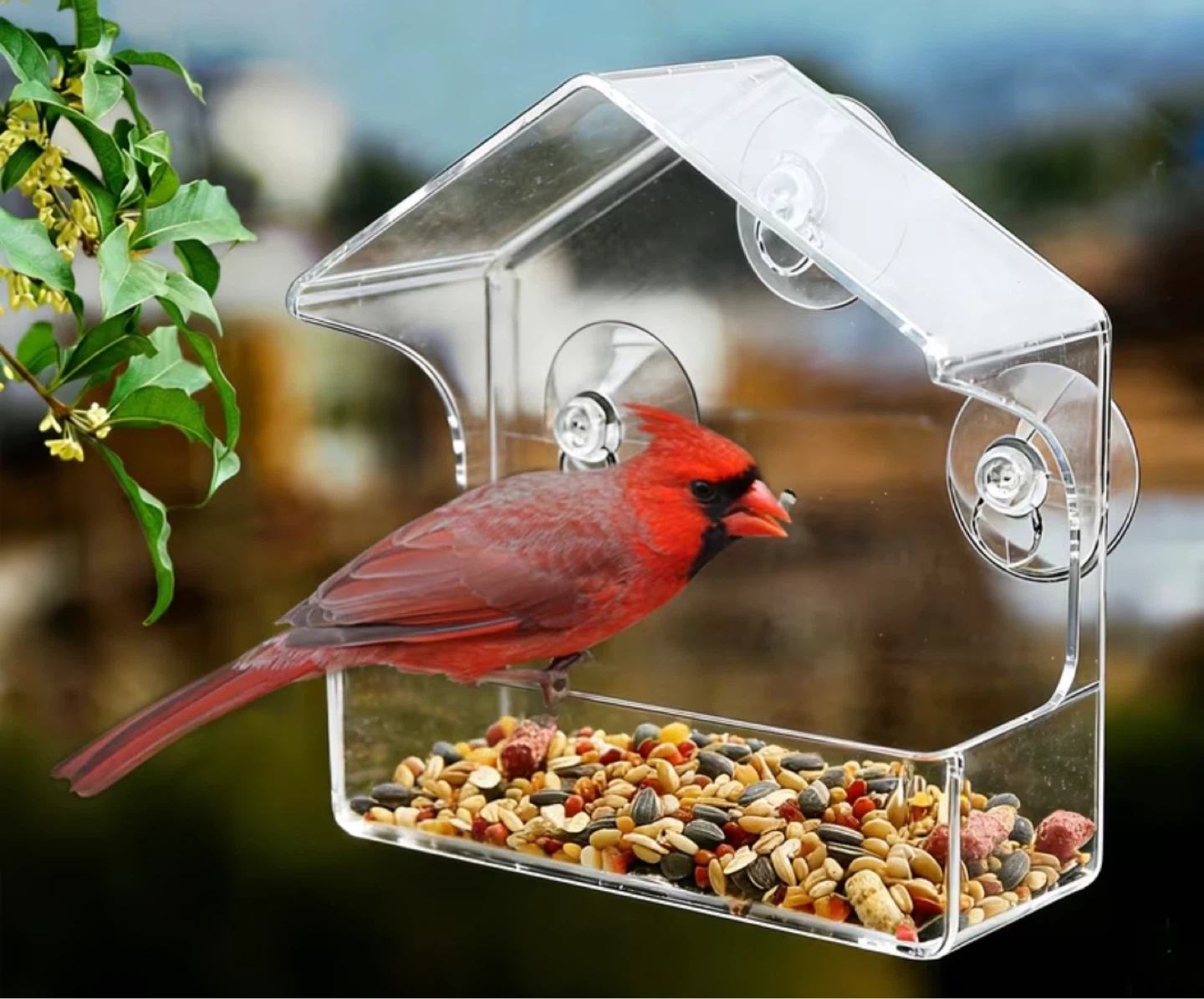 Clear Acrylic Window Bird Feeder