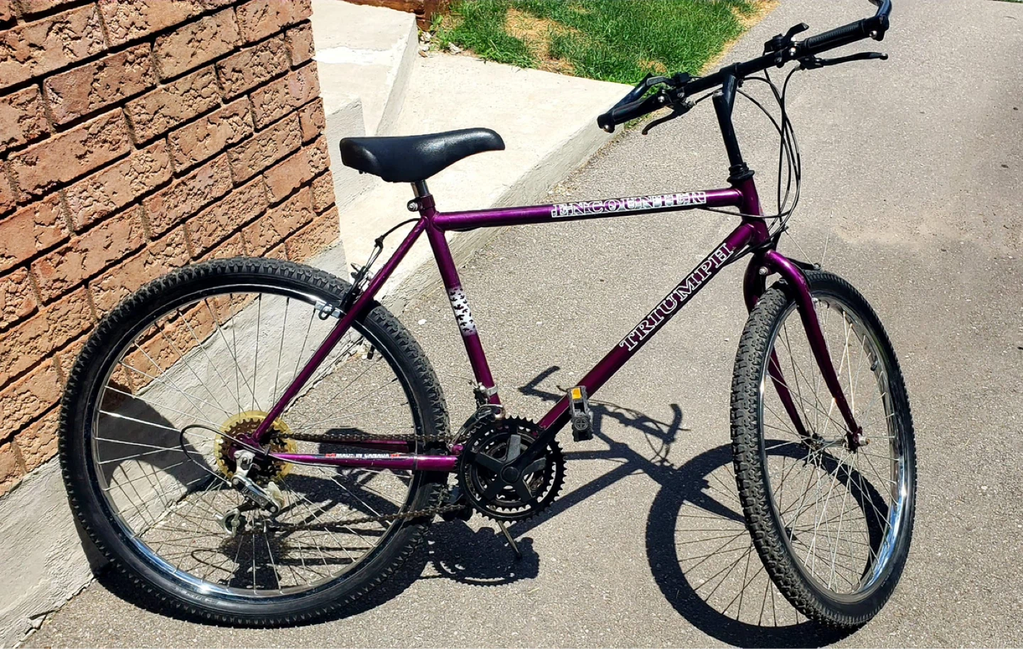 Triumph Mountain Bike