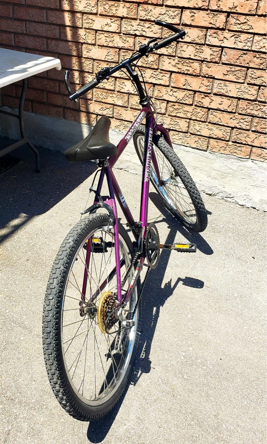 Triumph Mountain Bike - photo 2