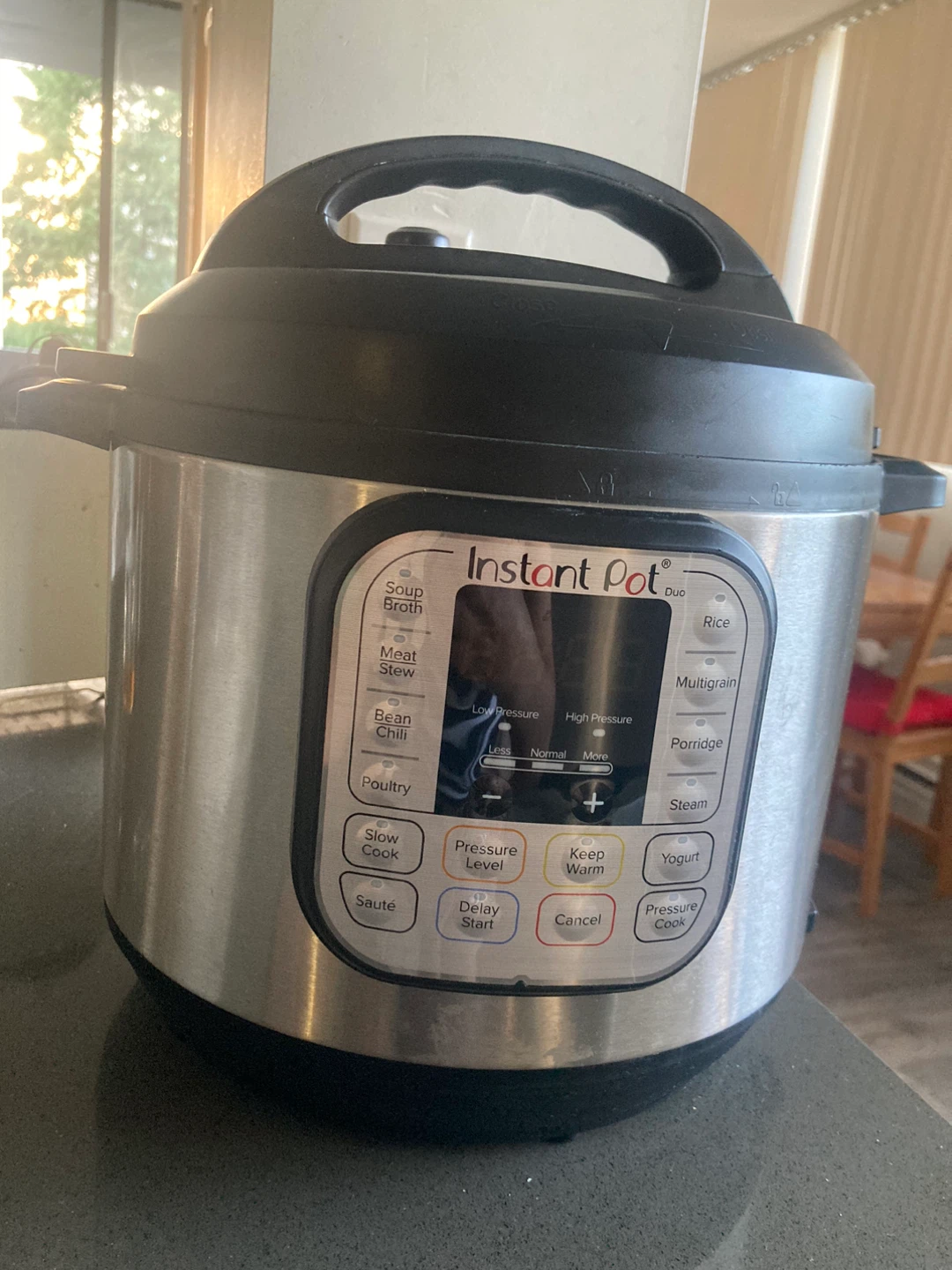 Instant Pot Duo