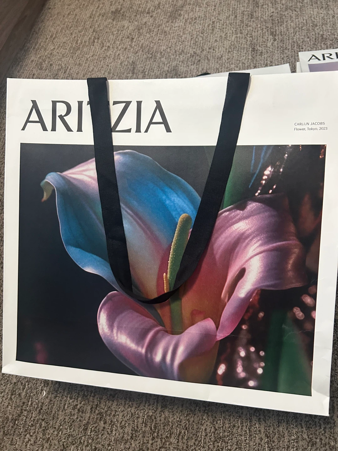 Aritzia bags - photo 5