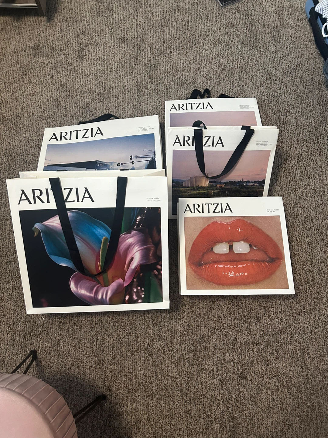 Aritzia bags