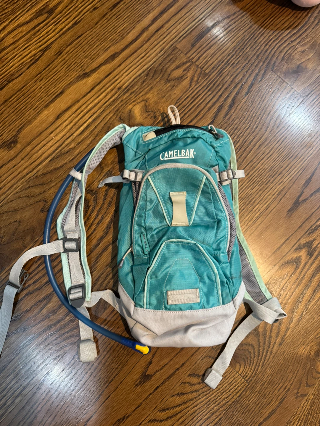CamelBak Hydration Backpack