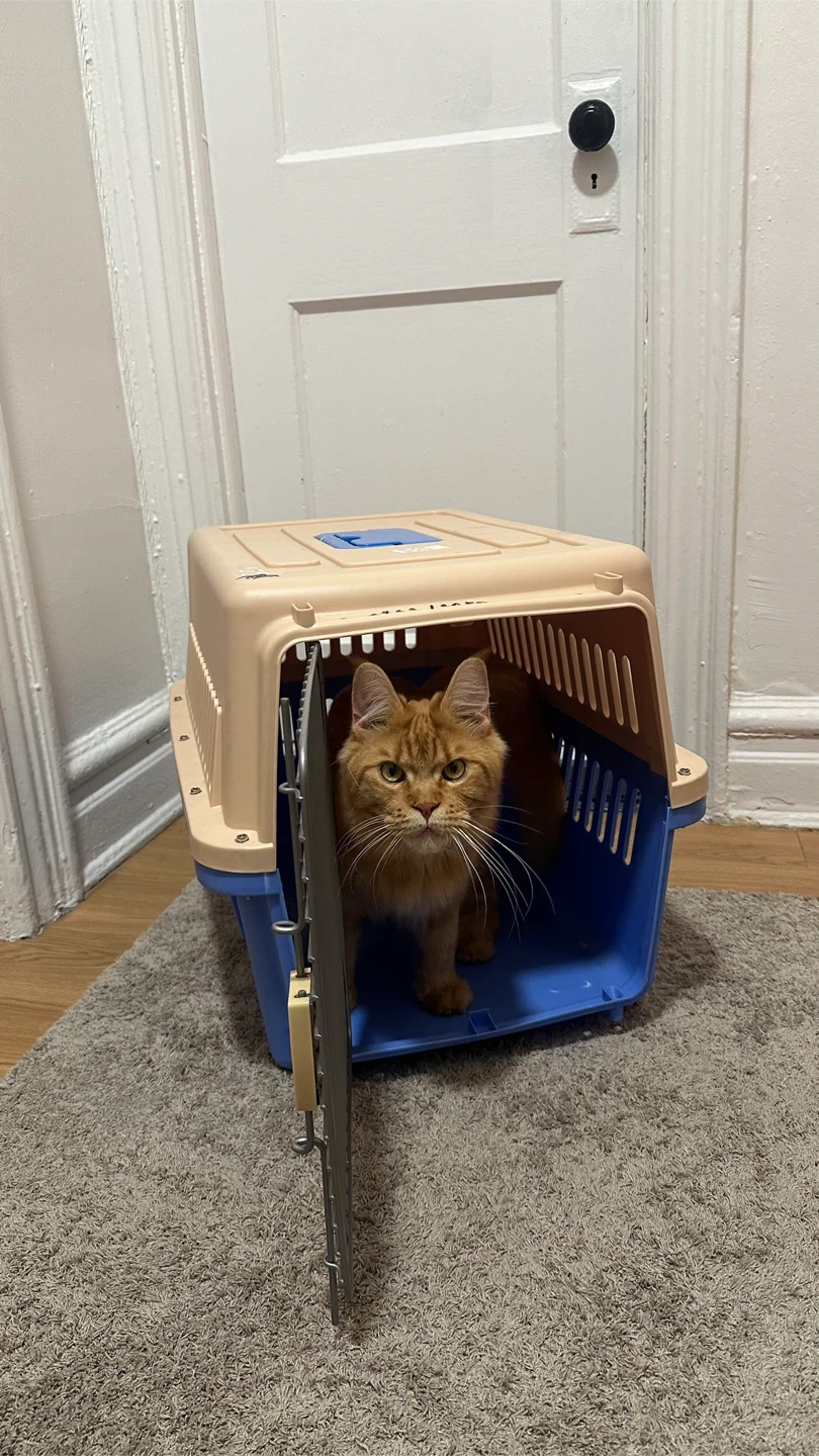 Pet Carrier Crate - photo 4