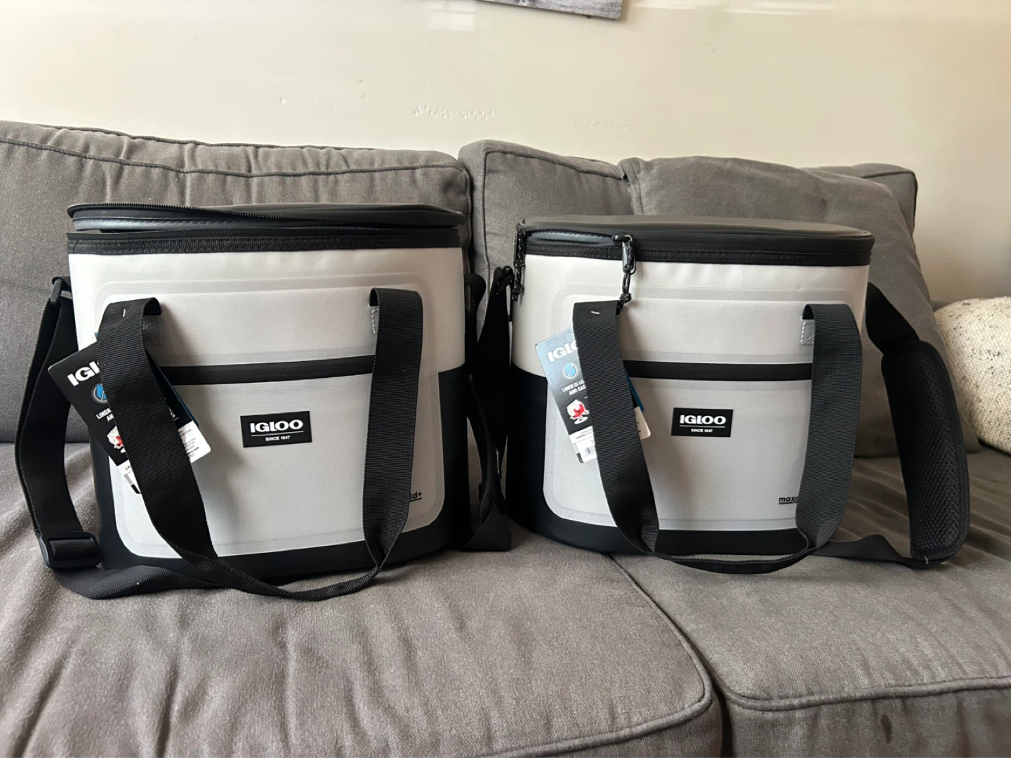 Igloo Overland Halo Tote Maxcold Cooler Bag