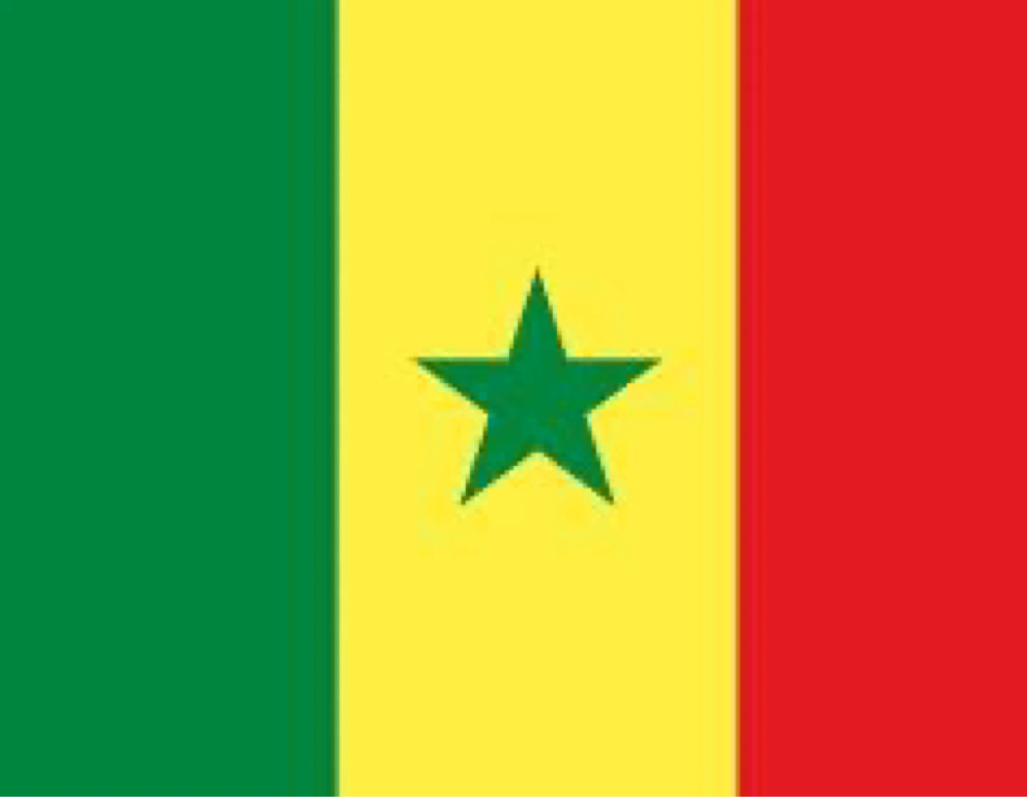 ⚽️Flags Portugal Brazil Senegal Germany soccer - photo 3
