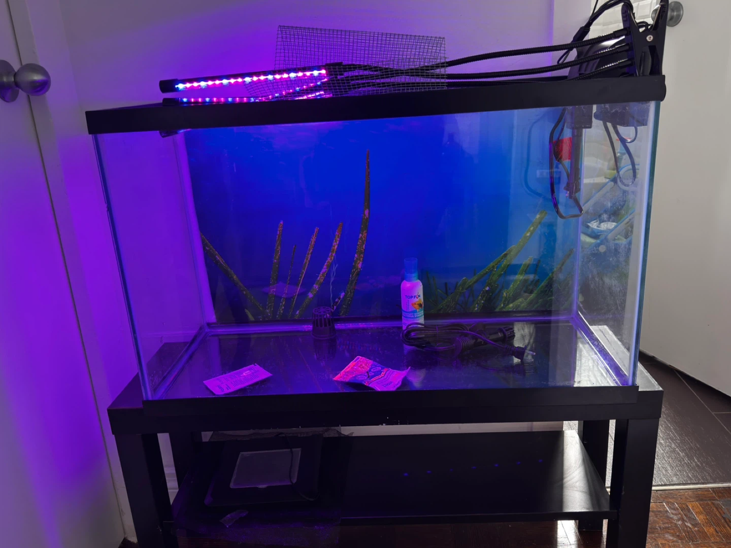 Aqueon 40 Gallon Aquarium with Stand and Accessories
