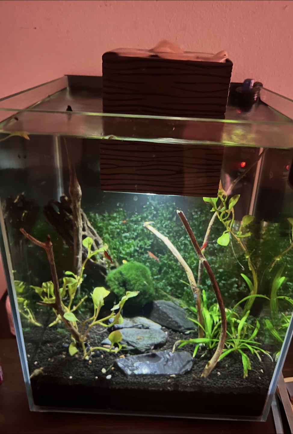Rimless Glass Aquarium with filter included