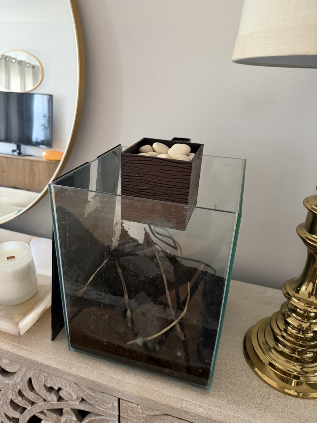 Rimless Glass Aquarium with filter included - photo 4