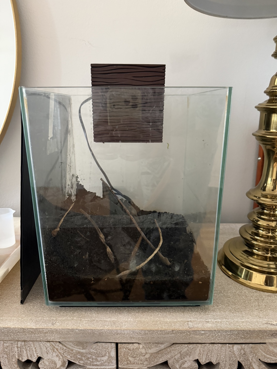 Rimless Glass Aquarium with filter included - photo 3