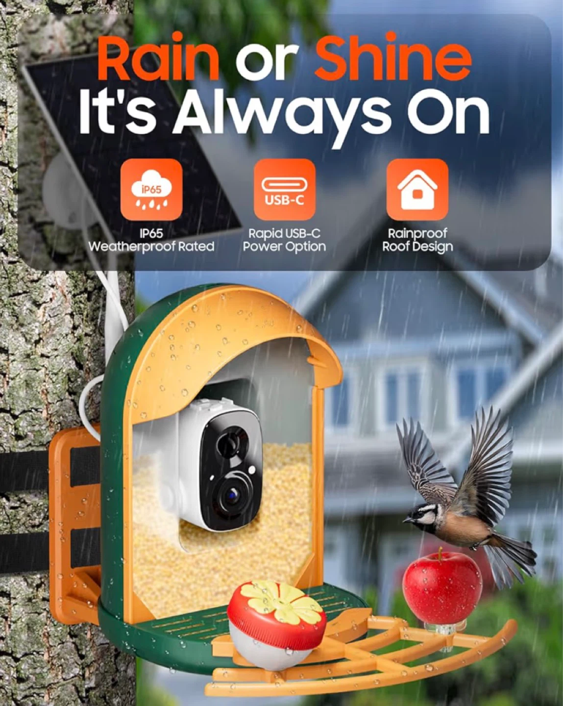 AI Bird Feeder with Camera - photo 2