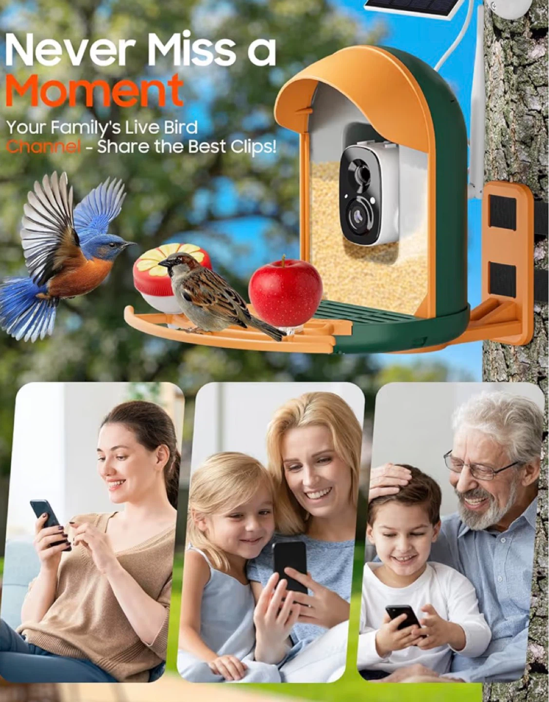 AI Bird Feeder with Camera - photo 3