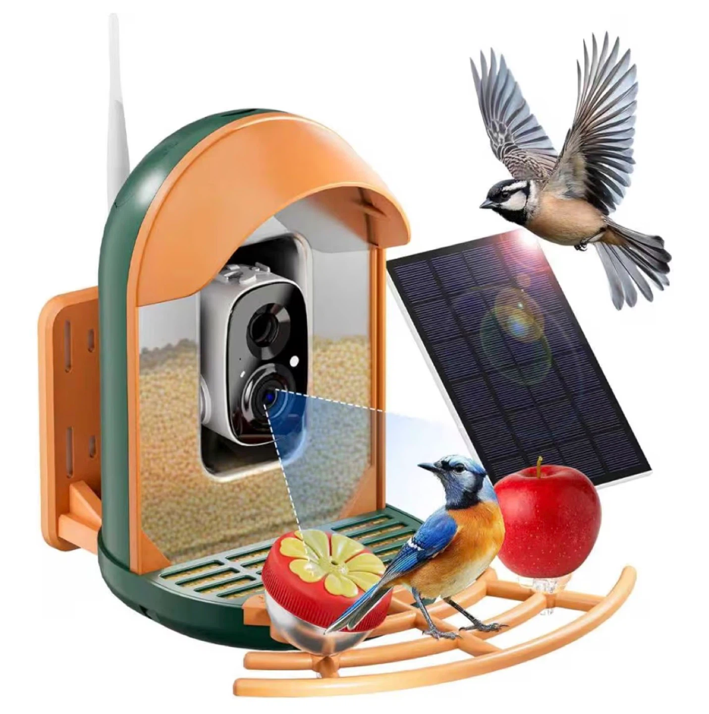 AI Bird Feeder with Camera