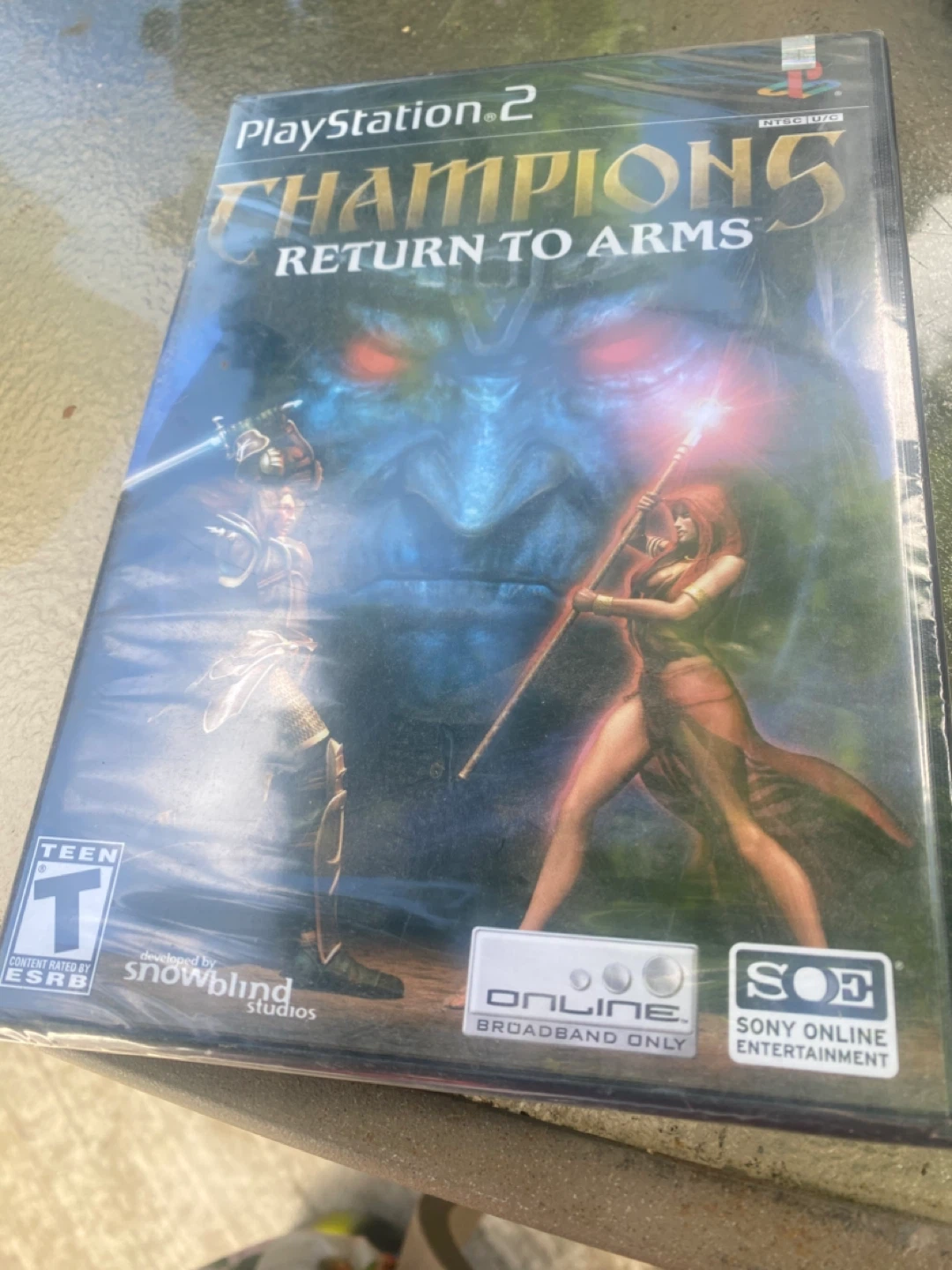 PlayStation 2 Champions: Return to Arms Video Game