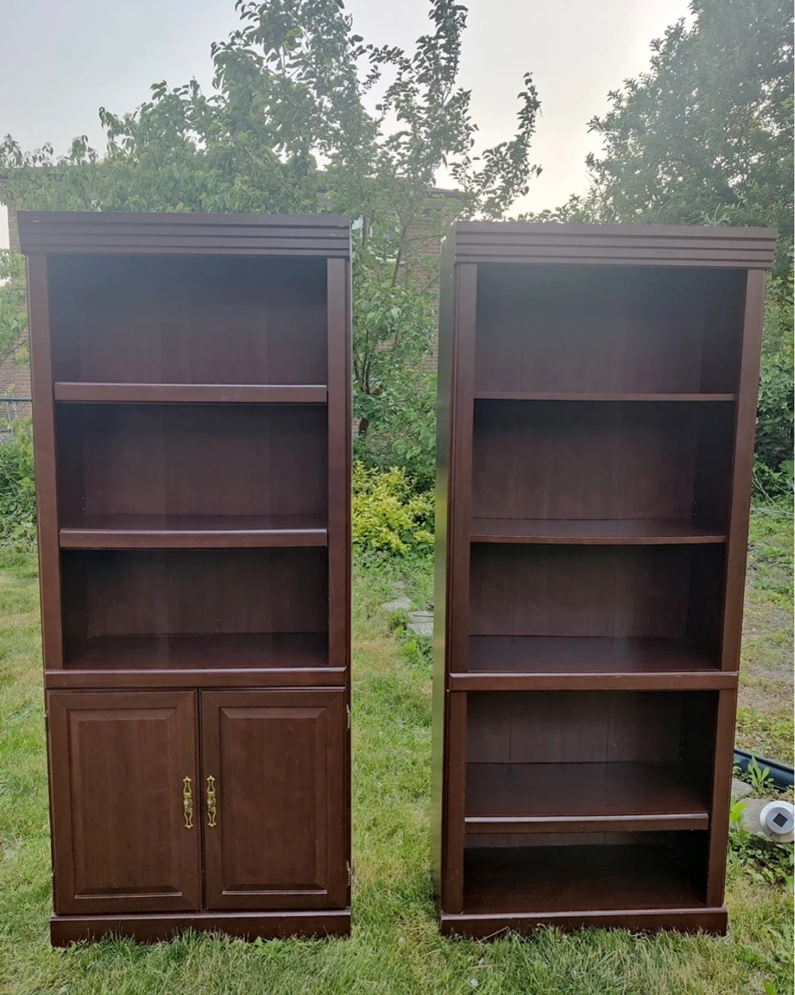 Two Dark Brown Bookcases