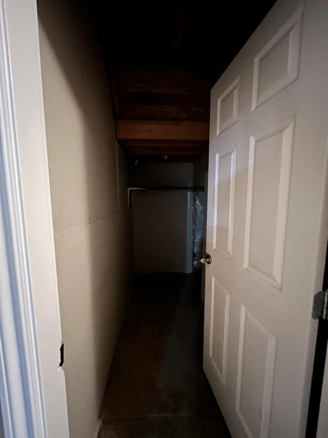 Basement Bedroom and Bathroom - photo 2