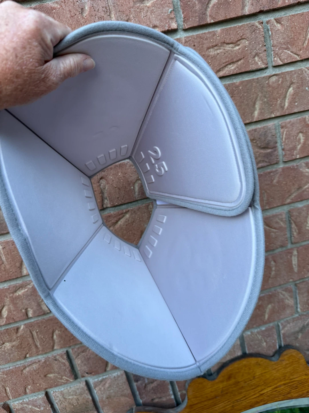 Light Grey Pet Recovery Collar