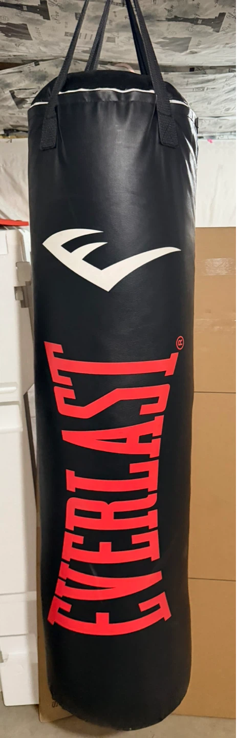 Everlast heavy bag and 12 ounce Elite Boxing Gloves