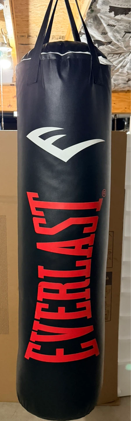 Everlast heavy bag and 12 ounce Elite Boxing Gloves - photo 2