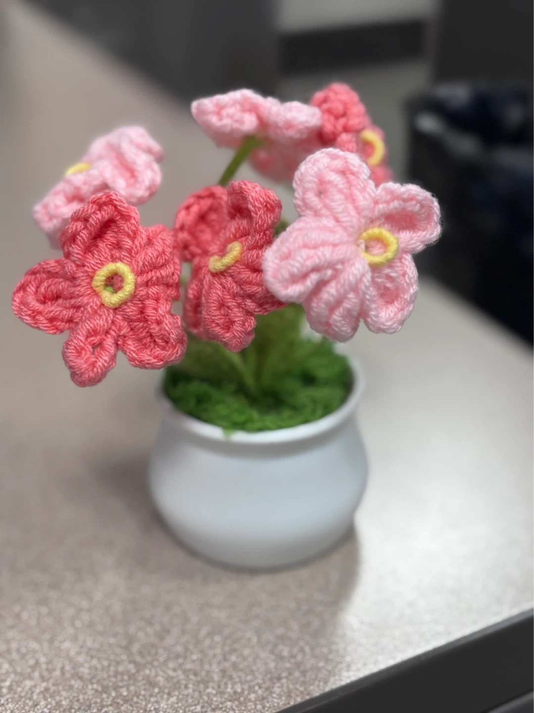 Crocheted Flower Pot ⚽️
