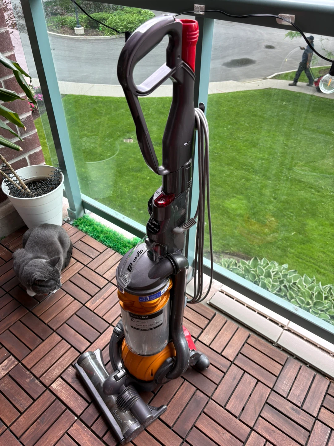 Dyson Ball Animal 2 Vacuum DC25