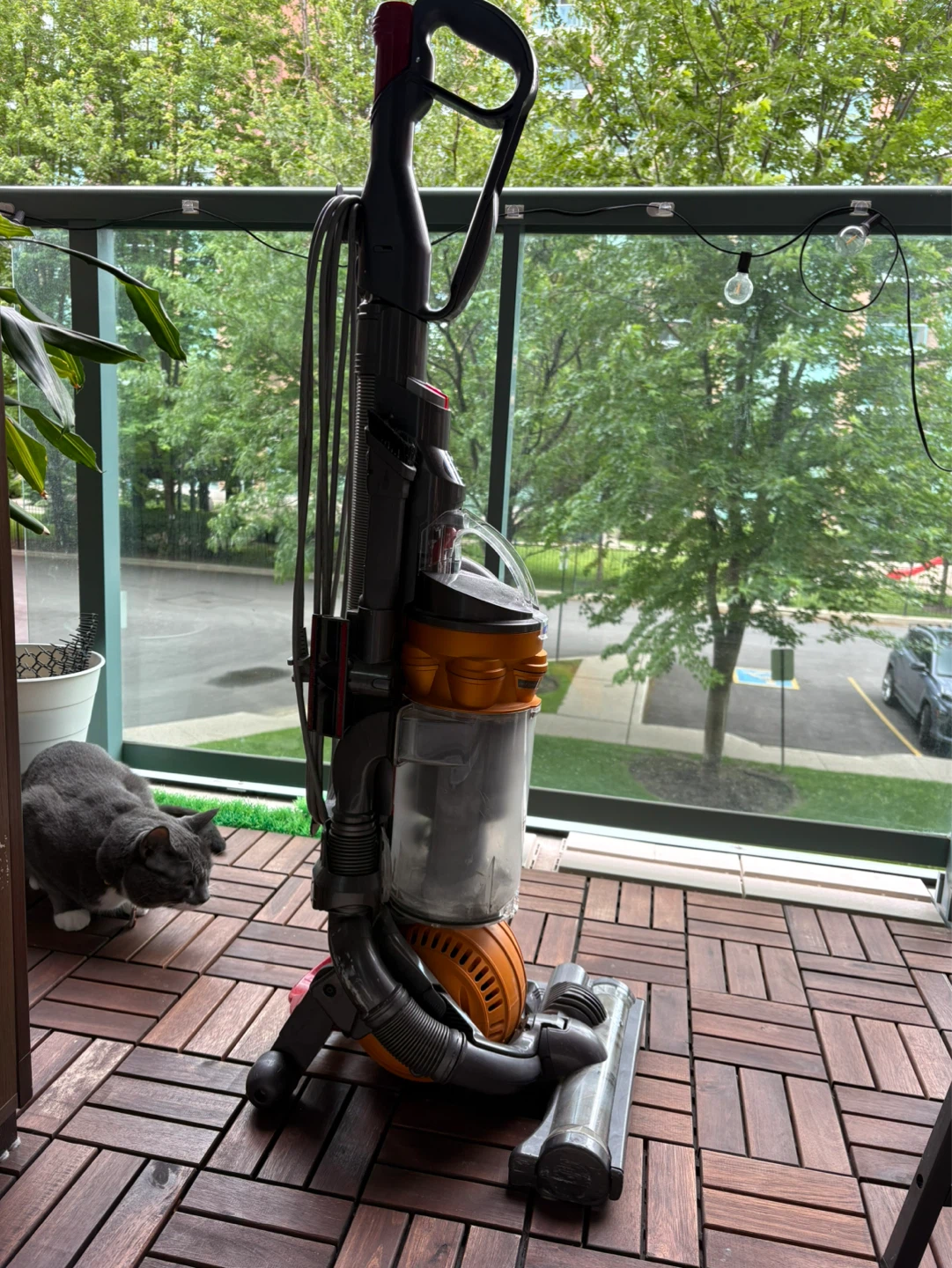 Dyson Ball Animal 2 Vacuum DC25 - photo 3