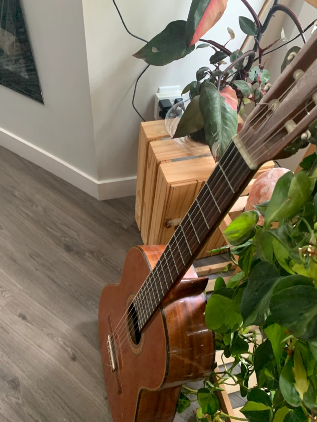 Acoustic/classical Aria Guitar - photo 5
