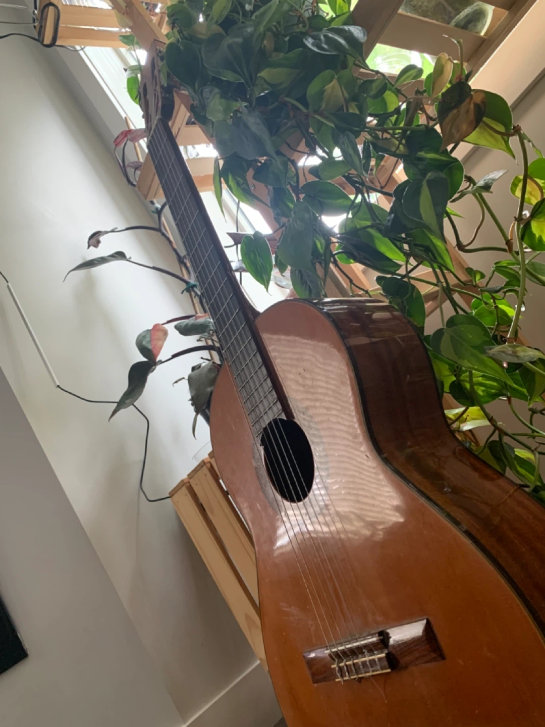 Acoustic/classical Aria Guitar - photo 4