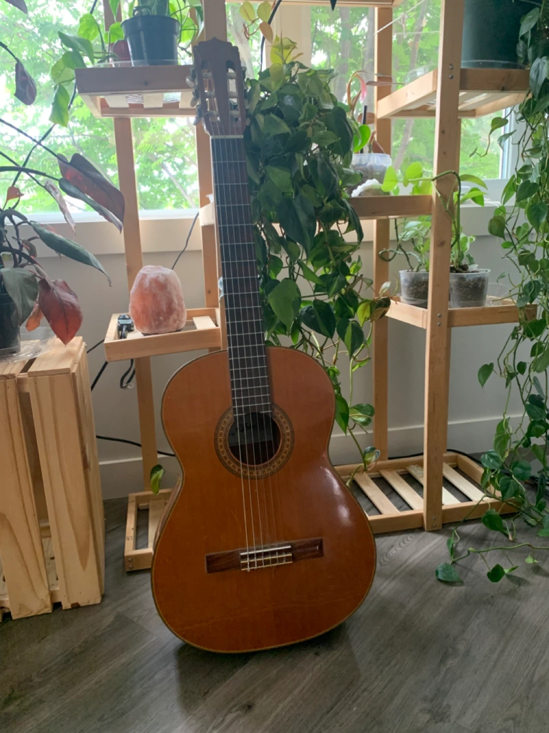 Acoustic/classical Aria Guitar