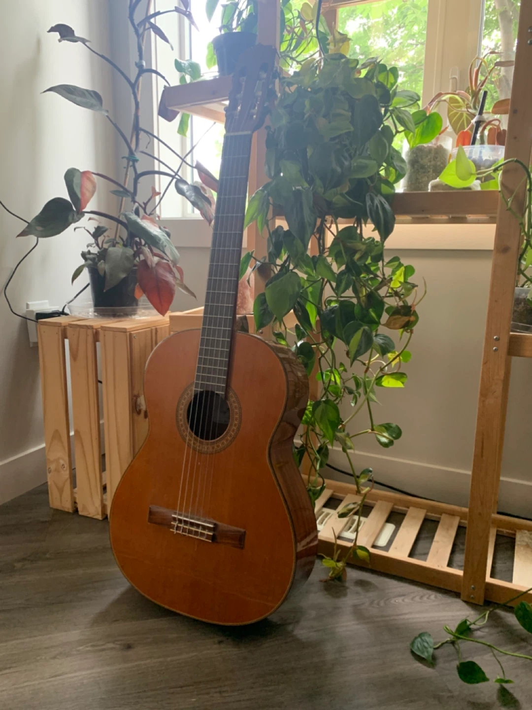 Acoustic/classical Aria Guitar - photo 2