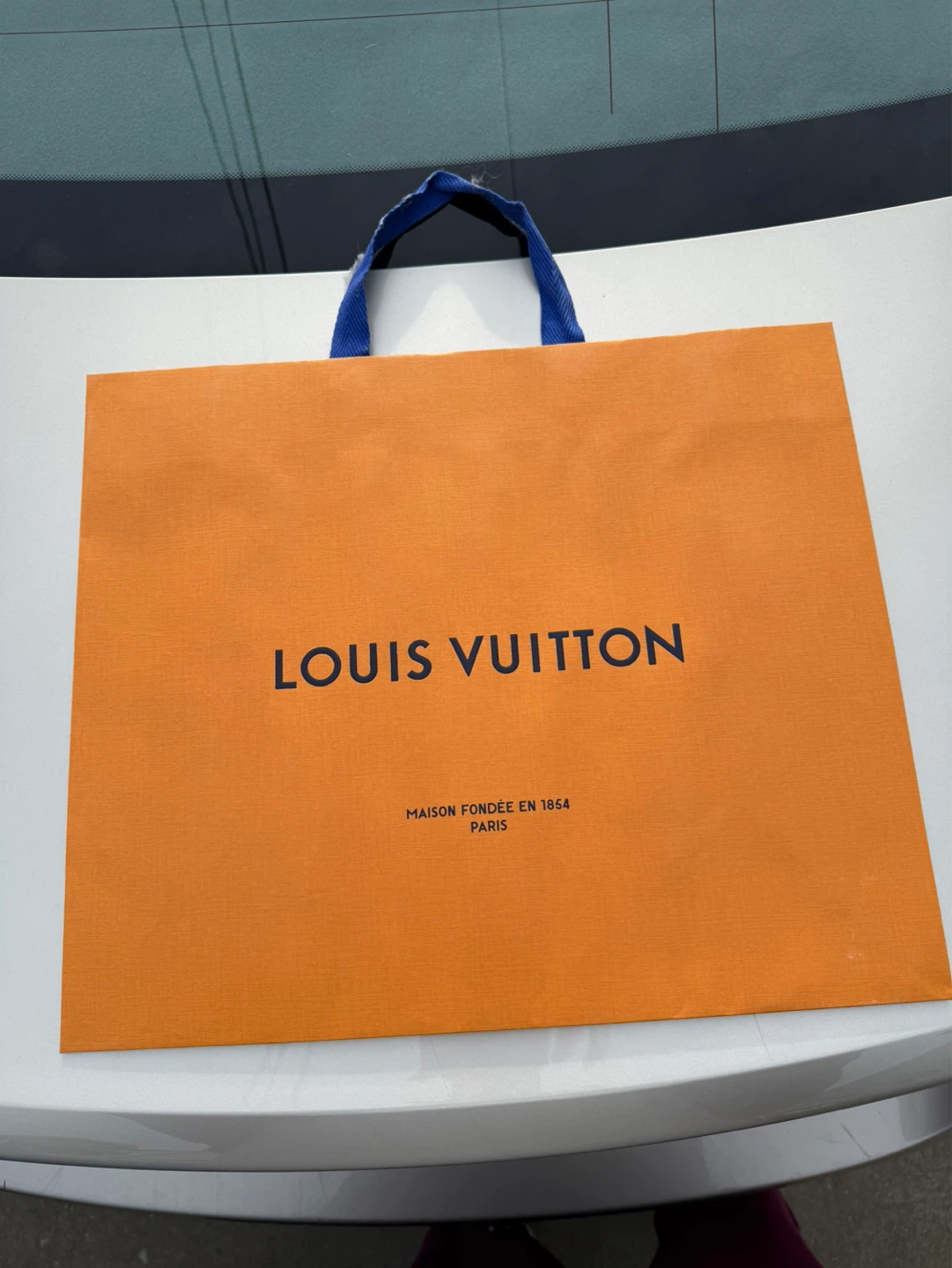Louis Vuitton Designer Shopping Bag