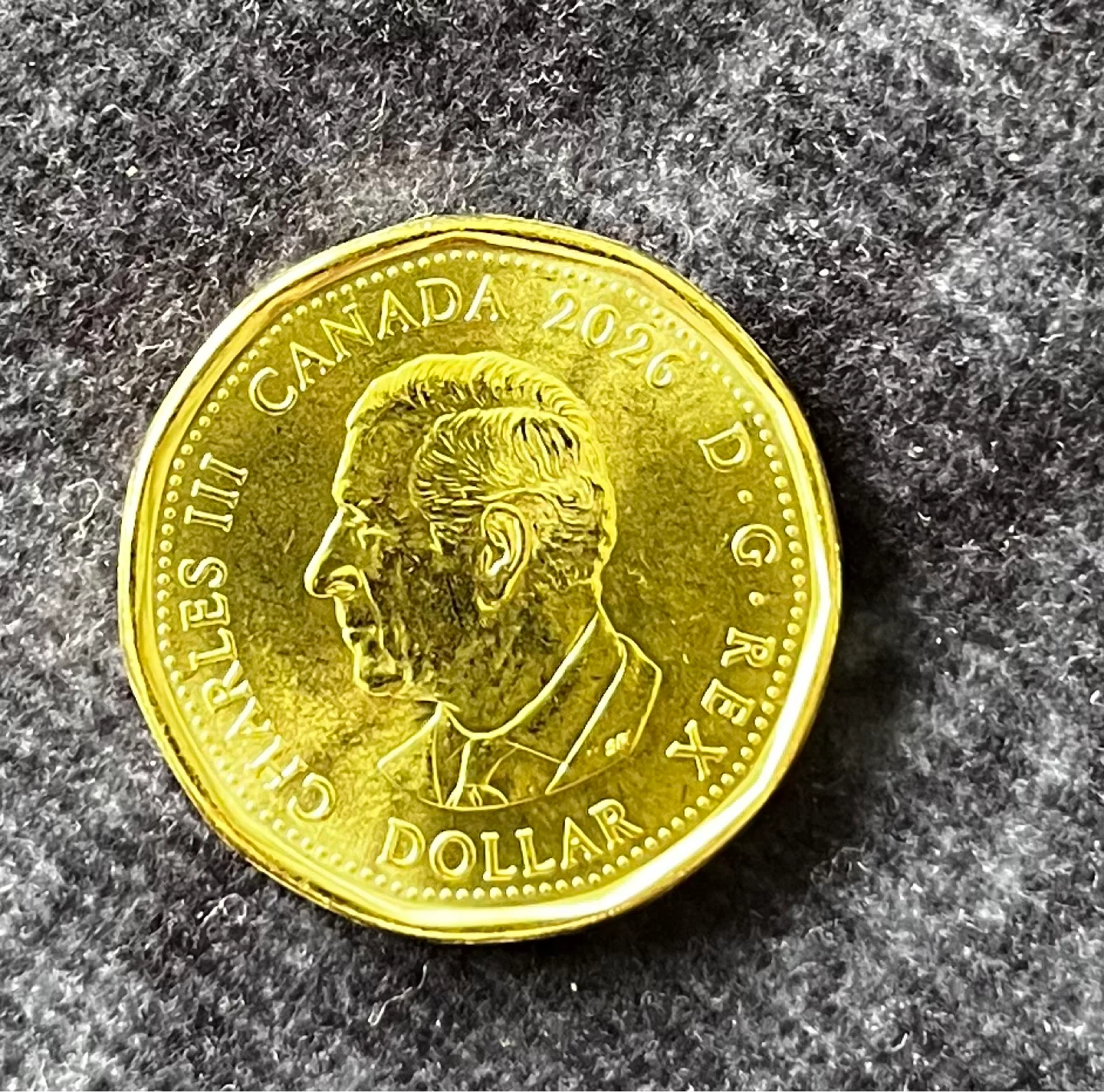 FIFA World Cup 2026 Commemorative Coin - photo 4