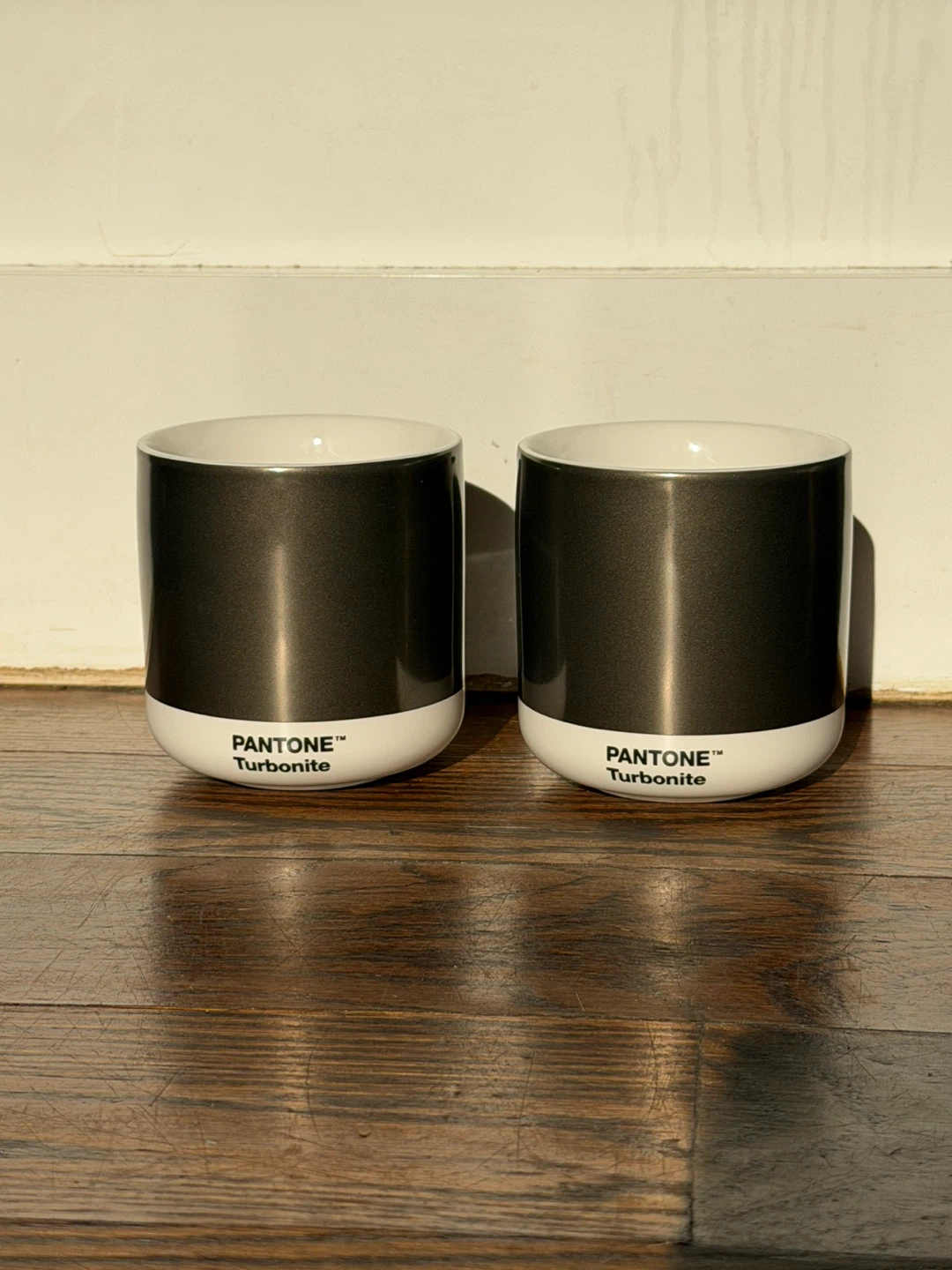 Pantone Turbonite Mugs (Set of 2)