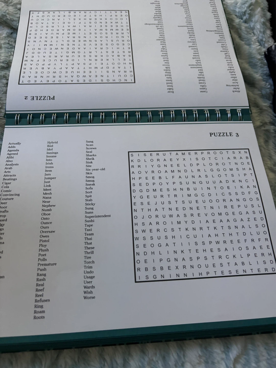 Wordsearch Puzzles Book - photo 3