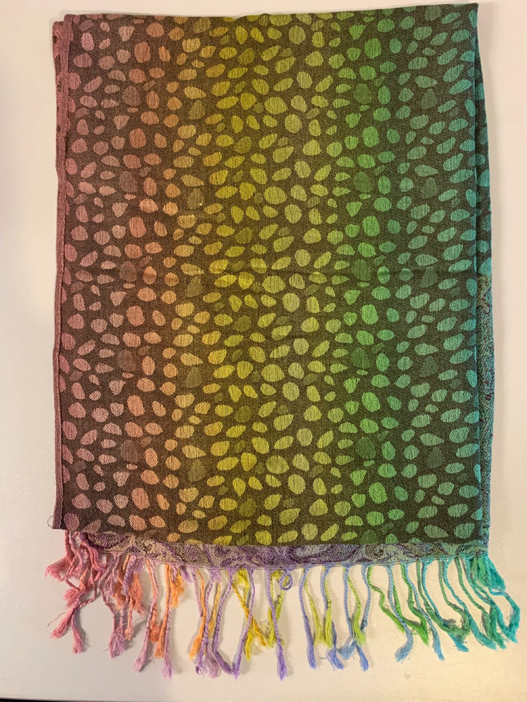 ⚽️ 100% Cashmere Scarf - Rainbow Paisley - photo 4