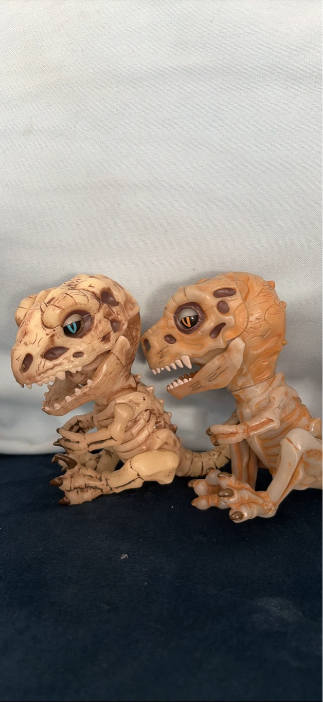 2 Dinosaur Skeleton Toys ⚽️