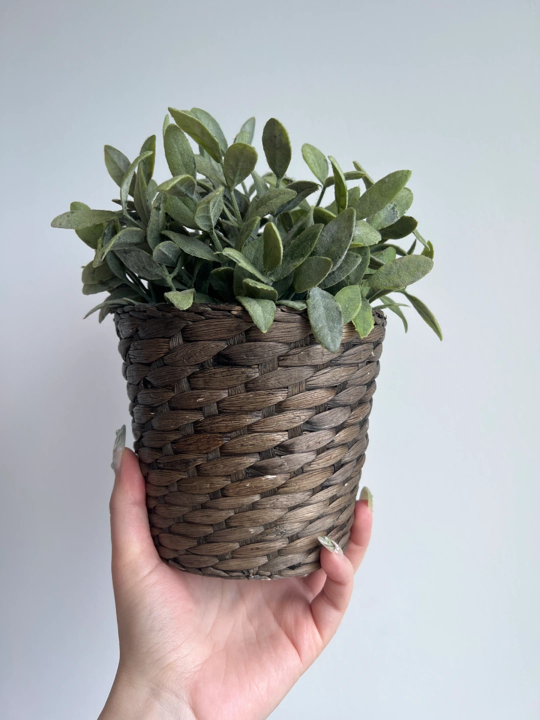 Artificial Plant in Wicker Pot ⚽️