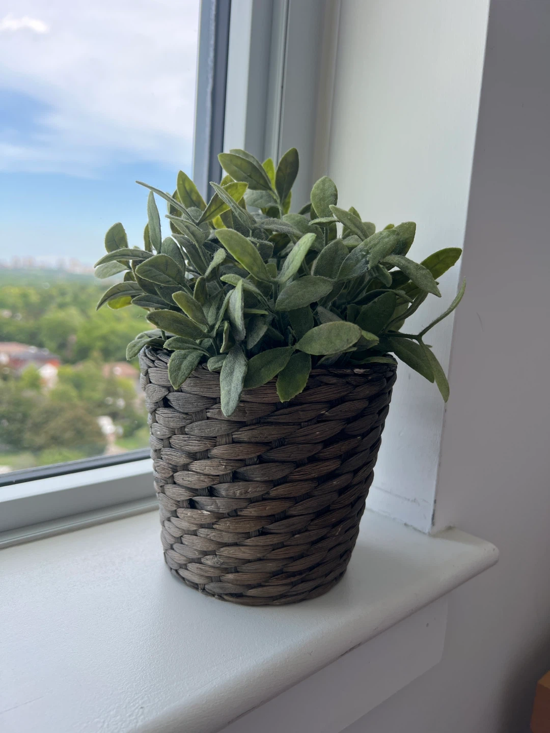 Artificial Plant in Wicker Pot ⚽️ - photo 2